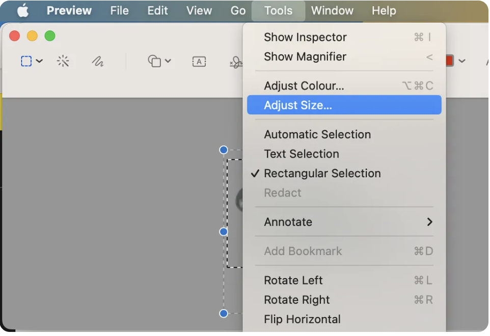 Screenshot 2023-08-02 at 07.39.43.png